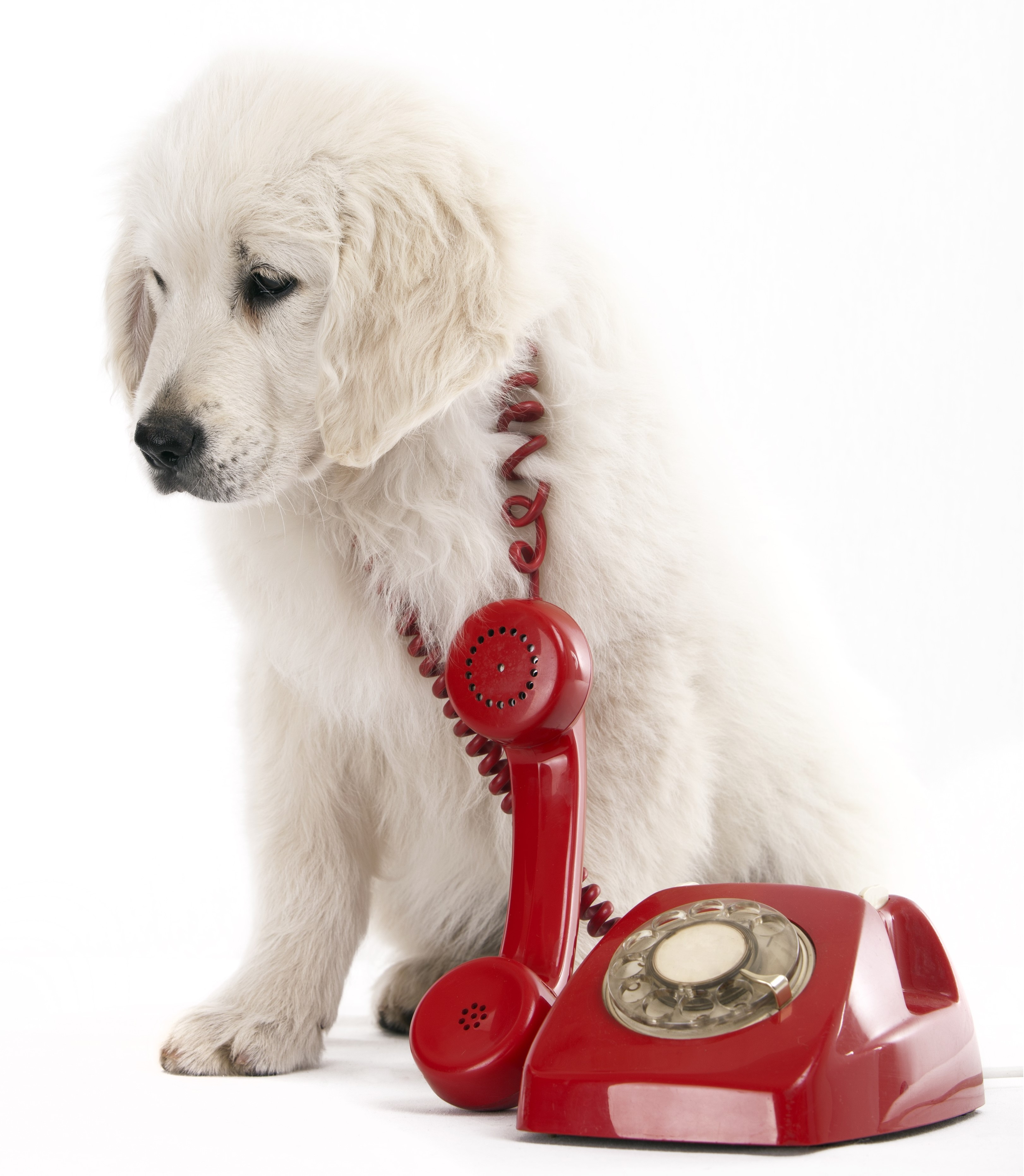 appel urgent appel urgent